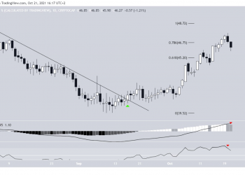 Bitcoin (BTCD) Dominance Shows Signs of Weakening, Altcoins May Regain Market Share