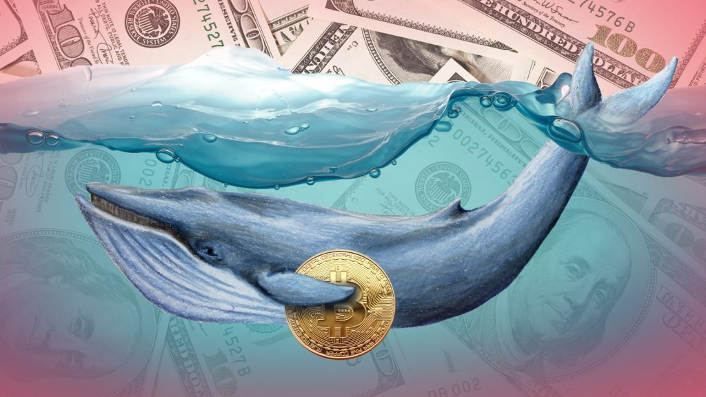 The biggest Bitcoin whales in the world are coming "extinction" - What is this sign?