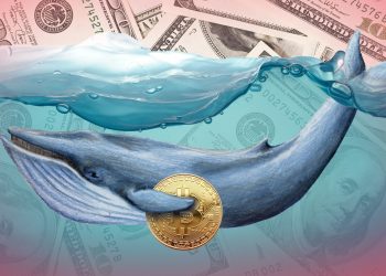 The biggest Bitcoin whales in the world are coming "extinction" - What is this sign?