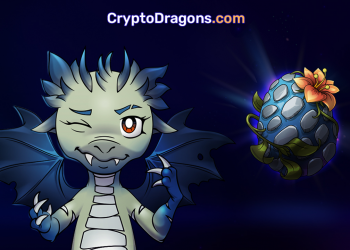 NFT Dragon Metaverse?  Interview with the head of improvement of CryptoDragons