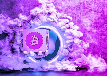 Police seize $two,900,000 in Bitcoin and other crypto assets from male pupil for income laundering investigation 2 Police seize $two,900,000 in Bitcoin and other crypto assets from male pupil for income laundering investigation