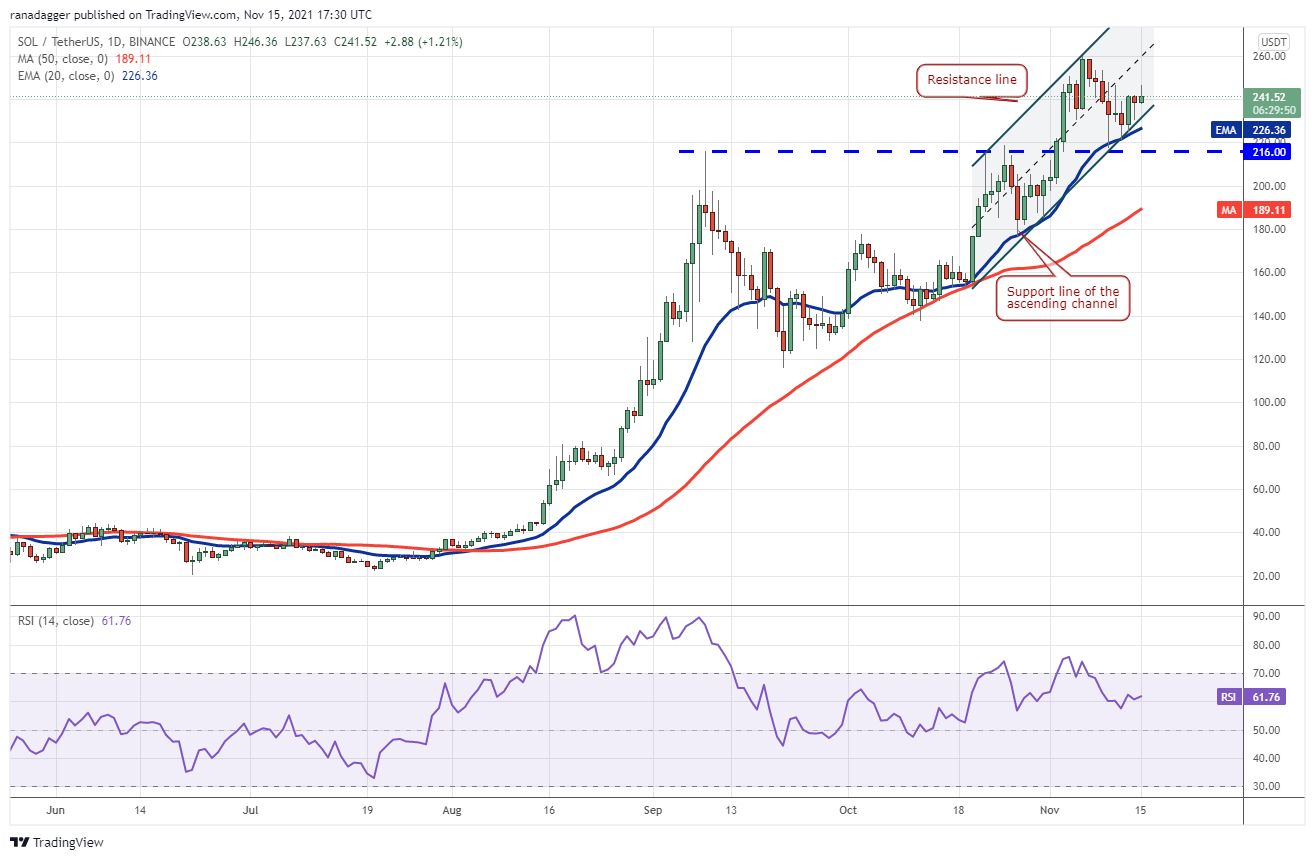 BTC, ETH, BNB, SOL, ADA, XRP, DOT, DOGE, SHIB, LUNA 31