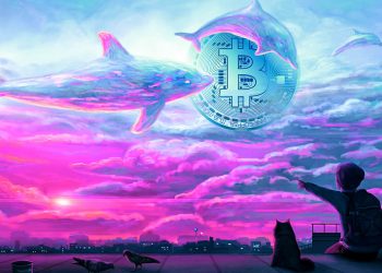 Bitcoin whales "pump" more than $ 3 billion buys more BTC before fear covers the entire market