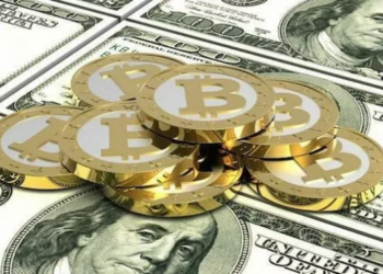 How did Bitcoin grow to be identified and form into a giant currency?