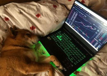 [Cập nhật] Binance blocks Dogecoin withdrawals, requires users to return DOGE even if it's the exchange's fault