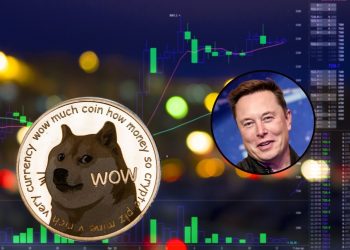 Elon Musk confirms warning about leveraged trading with Dogecoin (DOGE)