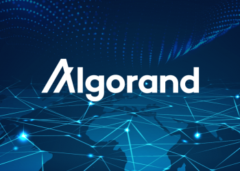 Former Citigroup Director Launches $ 1.5 Billion Investment Fund With Algorand (ALGO) as Strategic Partner
