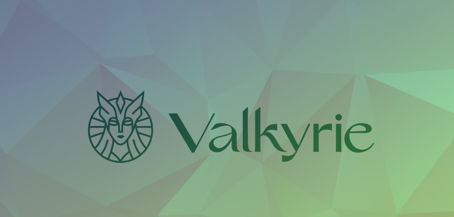 Freshly listed Bitcoin ETF, Valkyrie immediately opened a $ 100 million fund to invest in DeFi