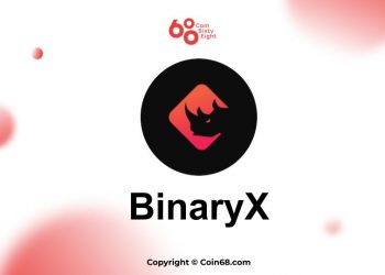 BinaryX project