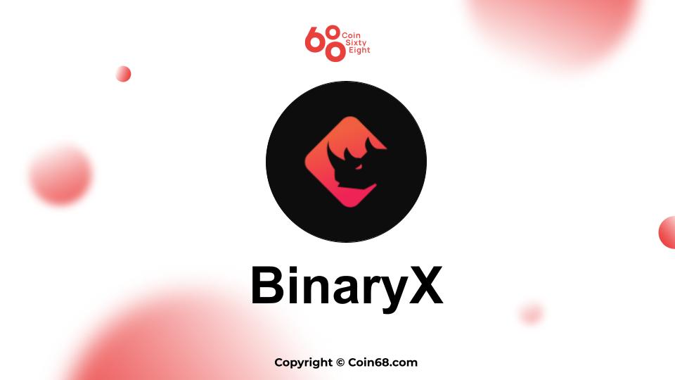 BinaryX project