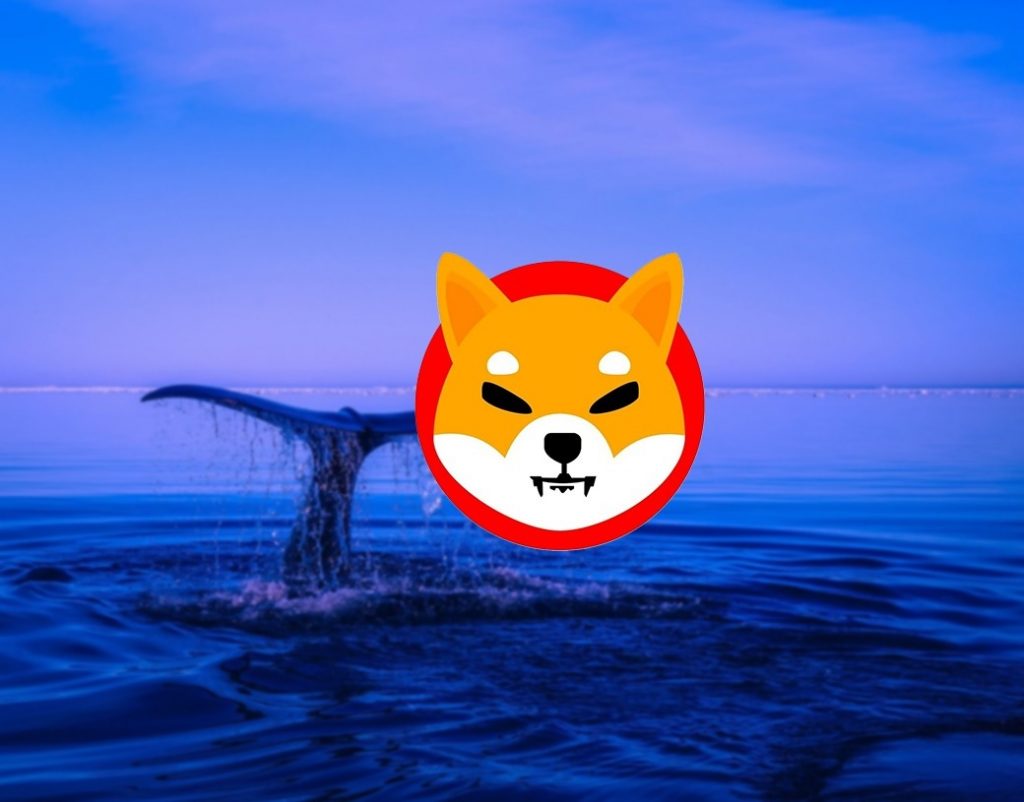 Shiba Inu (SHIB) is the most held token in the top 1,000 ETH whale portfolios