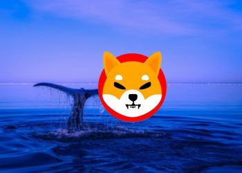 Shiba Inu (SHIB) is the most held token in the top 1,000 ETH whale portfolios