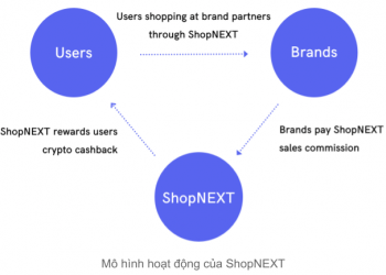 StoreNEXT Activities