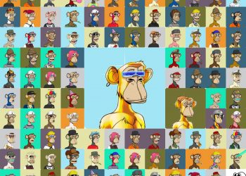 "Fever" NFT explodes with the peak attraction of the Bored Ape Yacht Club collection