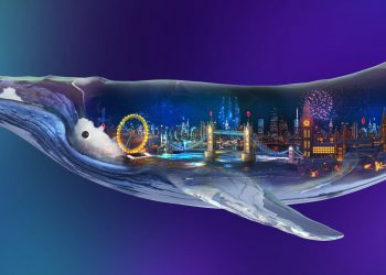 the whales "Massive" buy Bitcoin, push BTC accumulation to 2021 high