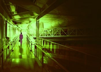 Here are the 5 US cities with the most crypto mercenaries in 2021, in accordance to new Bloomberg study