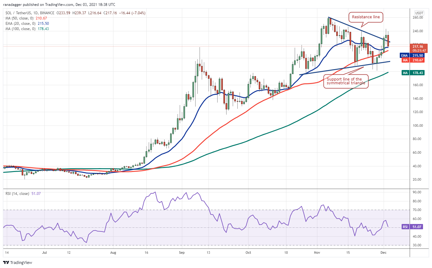 BTC, ETH, BNB, SOL, ADA, XRP, DOT, DOGE, LUNA, AVAX 31