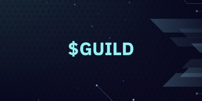 the use of the guild coin