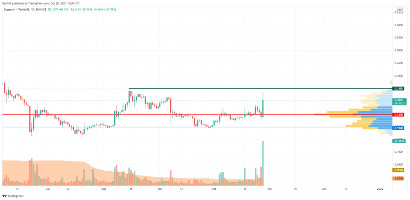 DOGE/USD Chart by Trading View