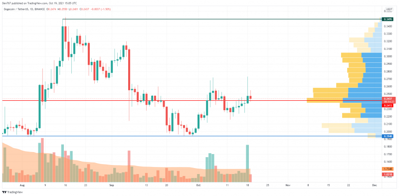 DOGE/USD Chart by Trading View