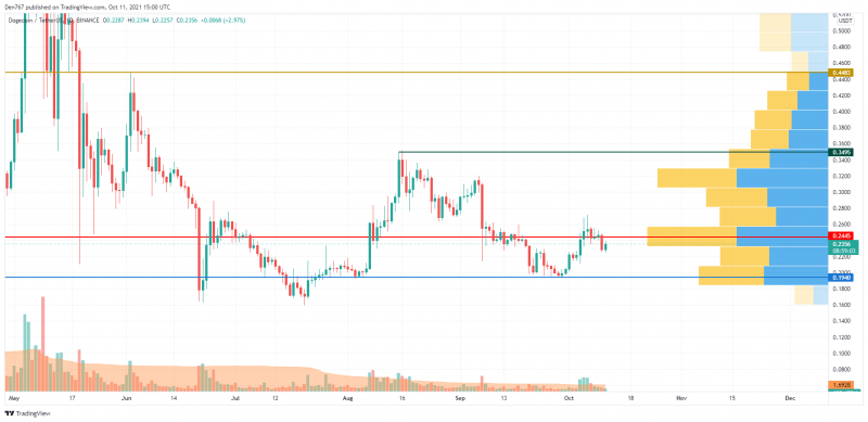 DOGE/USD Chart by Trading View