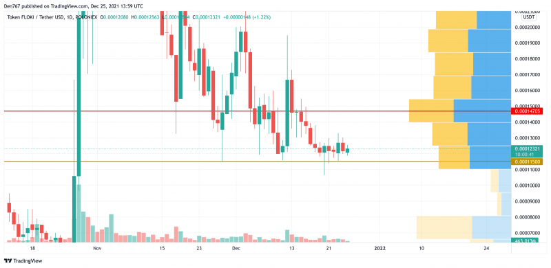 FLOKI/USD Chart by Trading View