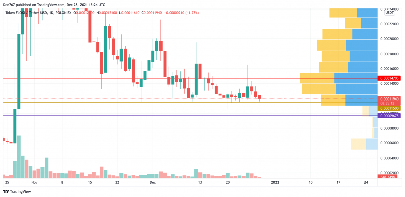 FLOKI/USD Chart by Trading View