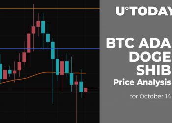 BTC, ADA, DOGE and SHIB Price Analysis for October 14