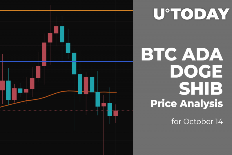 BTC, ADA, DOGE and SHIB Price Analysis for October 14