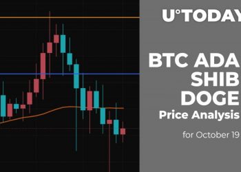 BTC, ADA, SHIB and DOGE Price Analysis for October 19