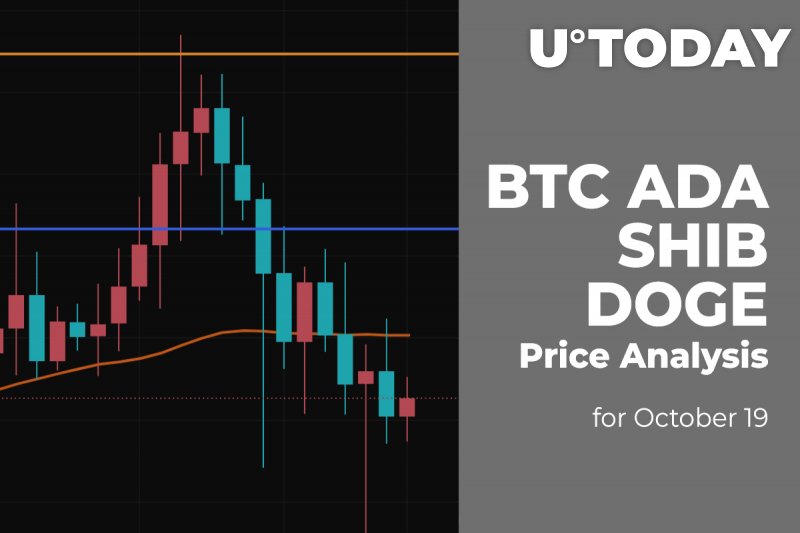 BTC, ADA, SHIB and DOGE Price Analysis for October 19