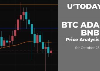 BTC, ADA and BNB Price Analysis on October 25