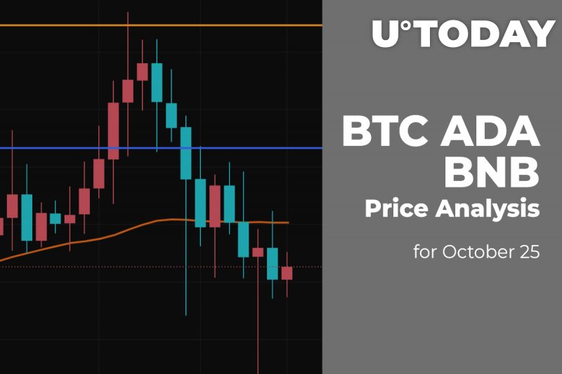 BTC, ADA and BNB Price Analysis on October 25