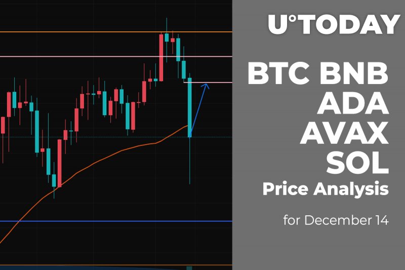 BTC, BNB, ADA, AVAX and SOL Price Analysis for December 14