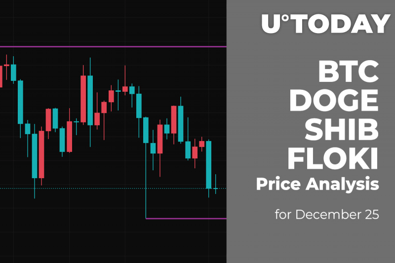 BTC, DOGE, SHIB and FLOKI Price Analysis for December 25