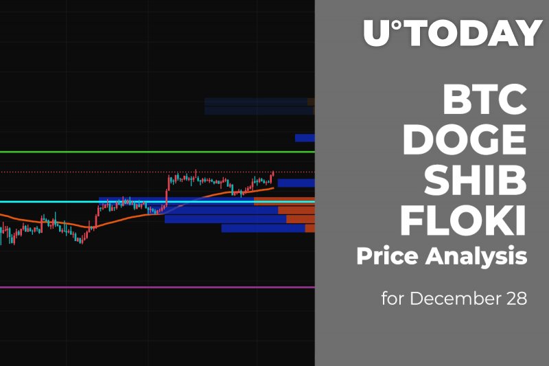 BTC, DOGE, SHIB and FLOKI Price Analysis for December 28