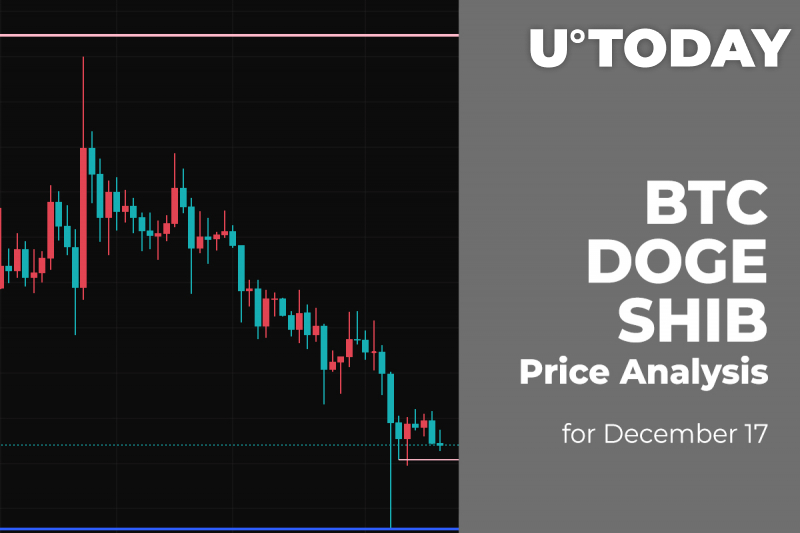 BTC, DOGE and SHIB Price Analysis for December 17