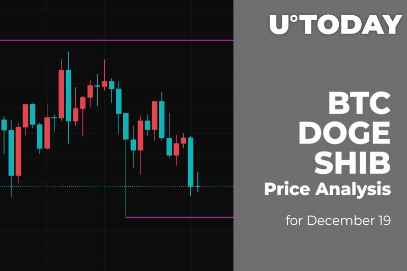 BTC, DOGE and SHIB Price Analysis for December 19