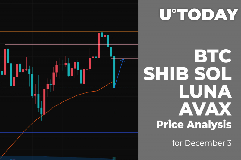 BTC, SHIB, SOL, LUNA and AVAX Price Analysis for December 3