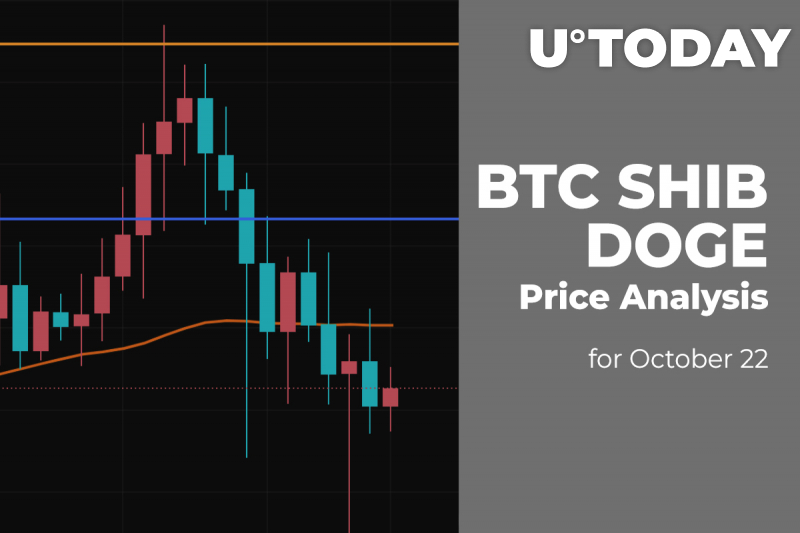 BTC, SHIB and DOGE Price Analysis for October 22