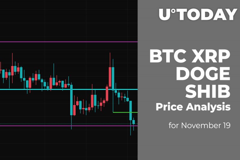 BTC, XRP, DOGE and SHIB Price Analysis for November 19