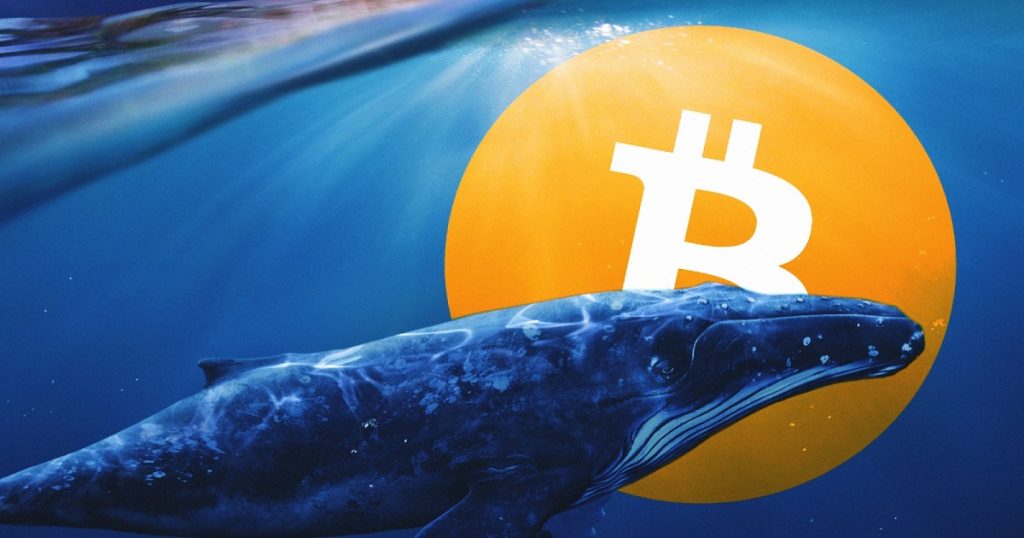 Bitcoin's whale war is very fierce, third largest wallet buys 137 million USD in BTC in just 1 day