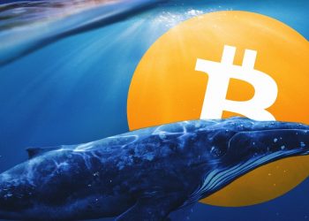 Bitcoin's whale war is very fierce, third largest wallet buys 137 million USD in BTC in just 1 day