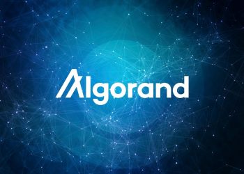 Borderless Capital launches a $ 500 million fund to invest in the Algorand ecosystem (ALGO)