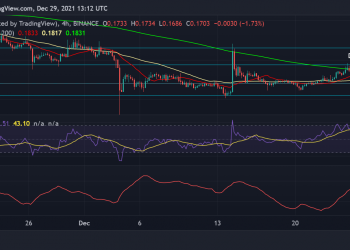 Shiba Inu and Dogecoin Price Analysis: Coins Show a Death Cross;  The next important price levels