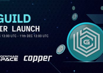 Details on Fair Launch GUILD - BlockchainSpace foundation token