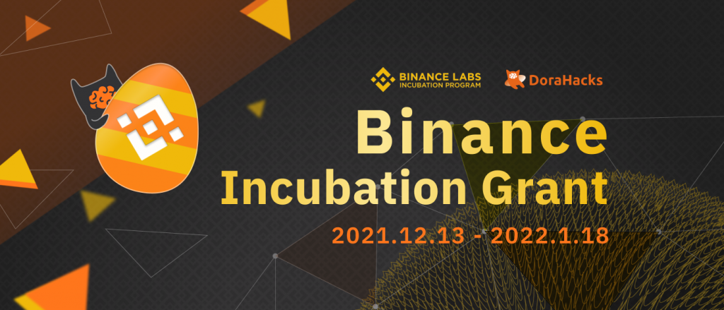 DoraHacks suggests how to participate in the "Vote for Binance Incubation Grants"