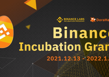 DoraHacks suggests how to participate in the "Vote for Binance Incubation Grants"