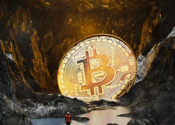 Earnings from shares of Bitcoin Miner completely beat BTC this year