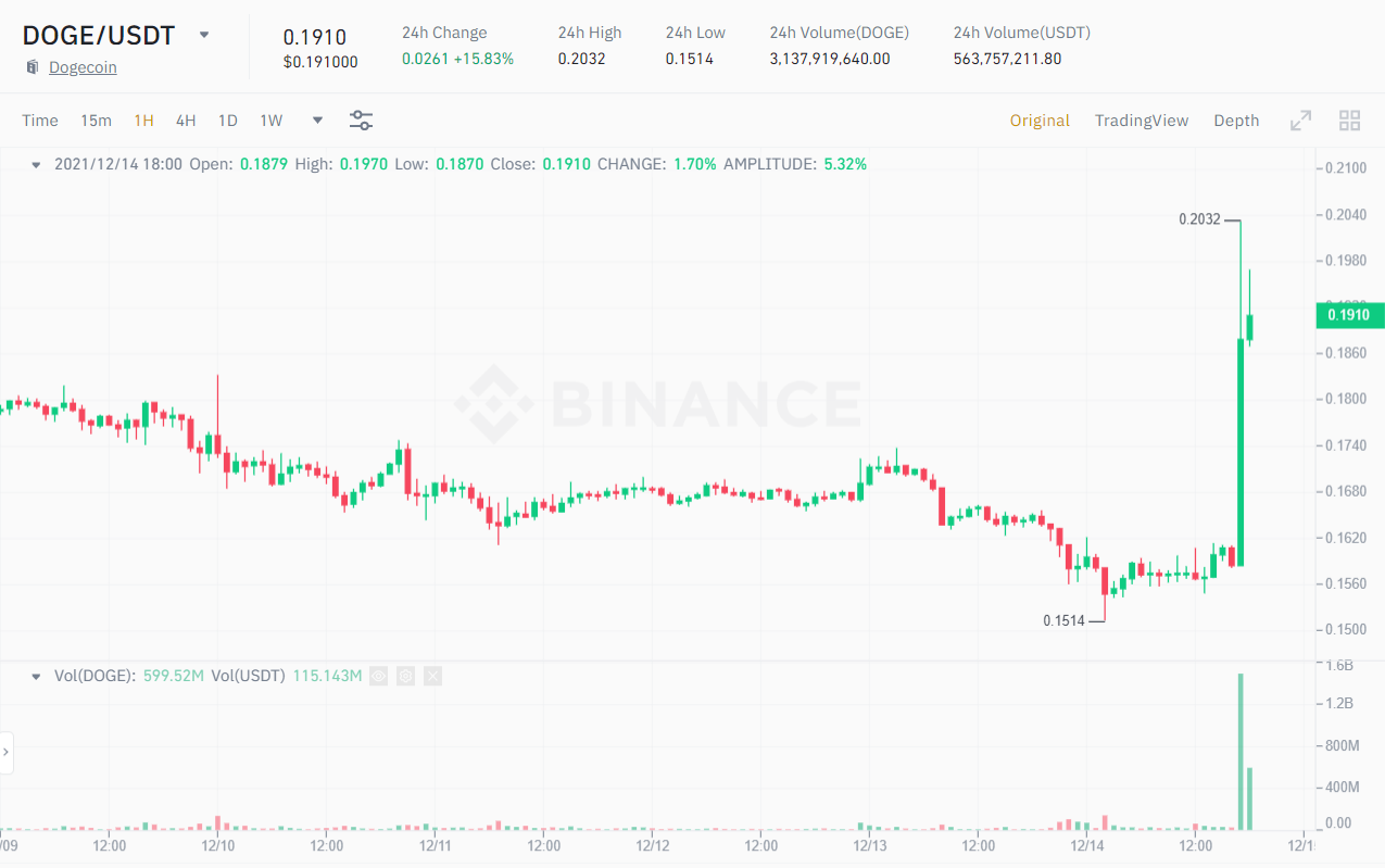 DOGE / USDT price chart.  Source: Binance